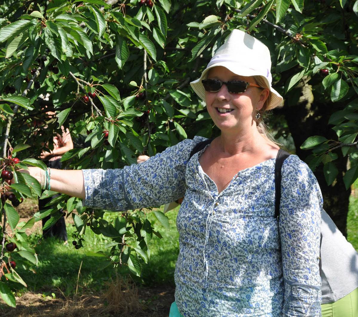 individuelle-reise-fraenkische-schweiz-kirschen-square